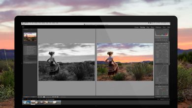 Download Adobe Photoshop Lightroom Free For Android Devices 4