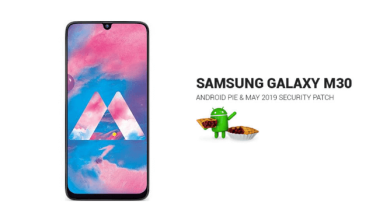 Download M305FDDU1BSEA Android Pie UI One Update for Galaxy M30