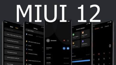 Xiaomi may have Accidentally Leaked its New MIUI 12 UI 3