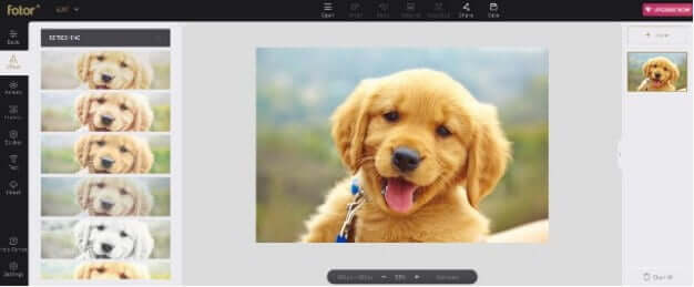 Best Free Photo Editing Apps for Mac in 2020 1